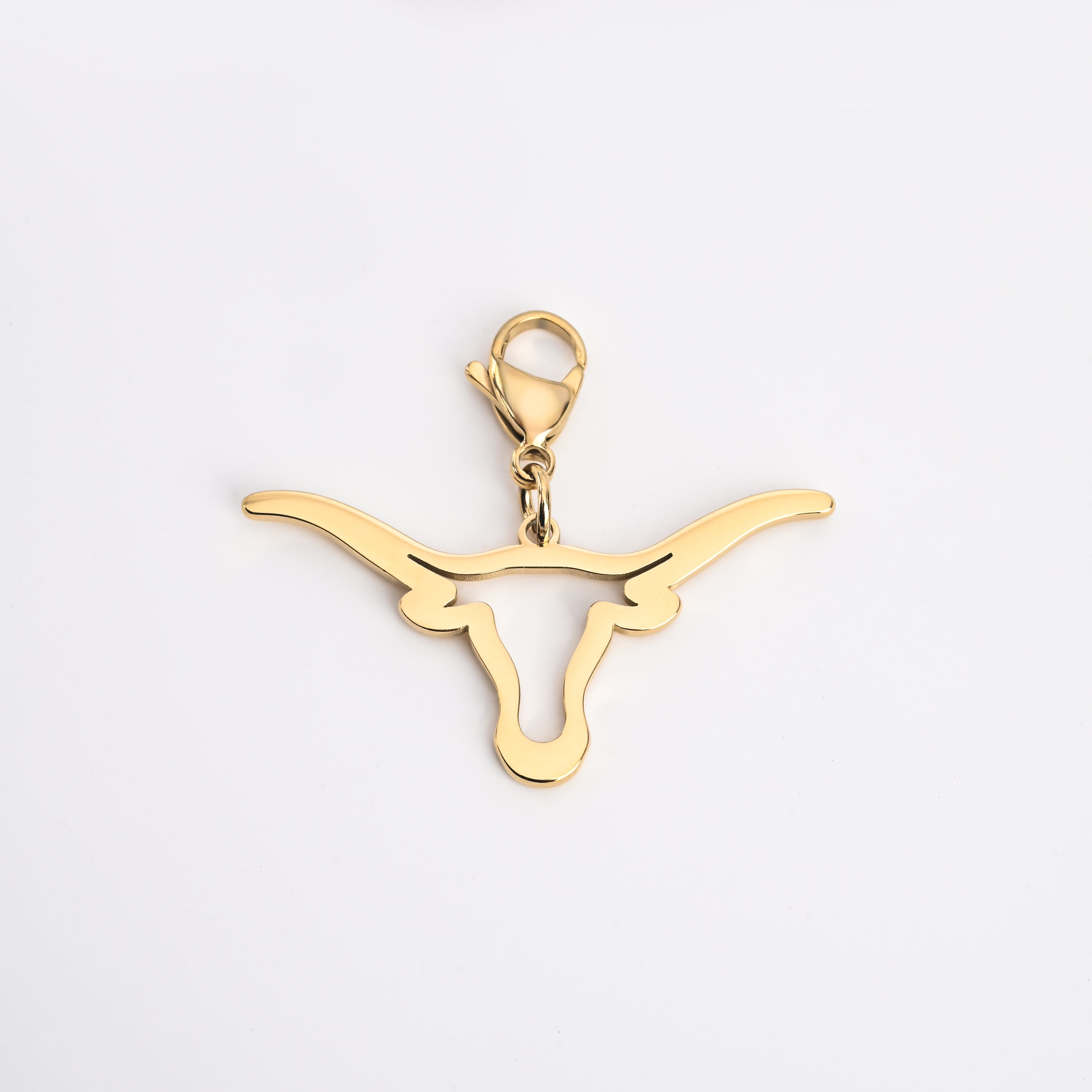Longhorn Charm