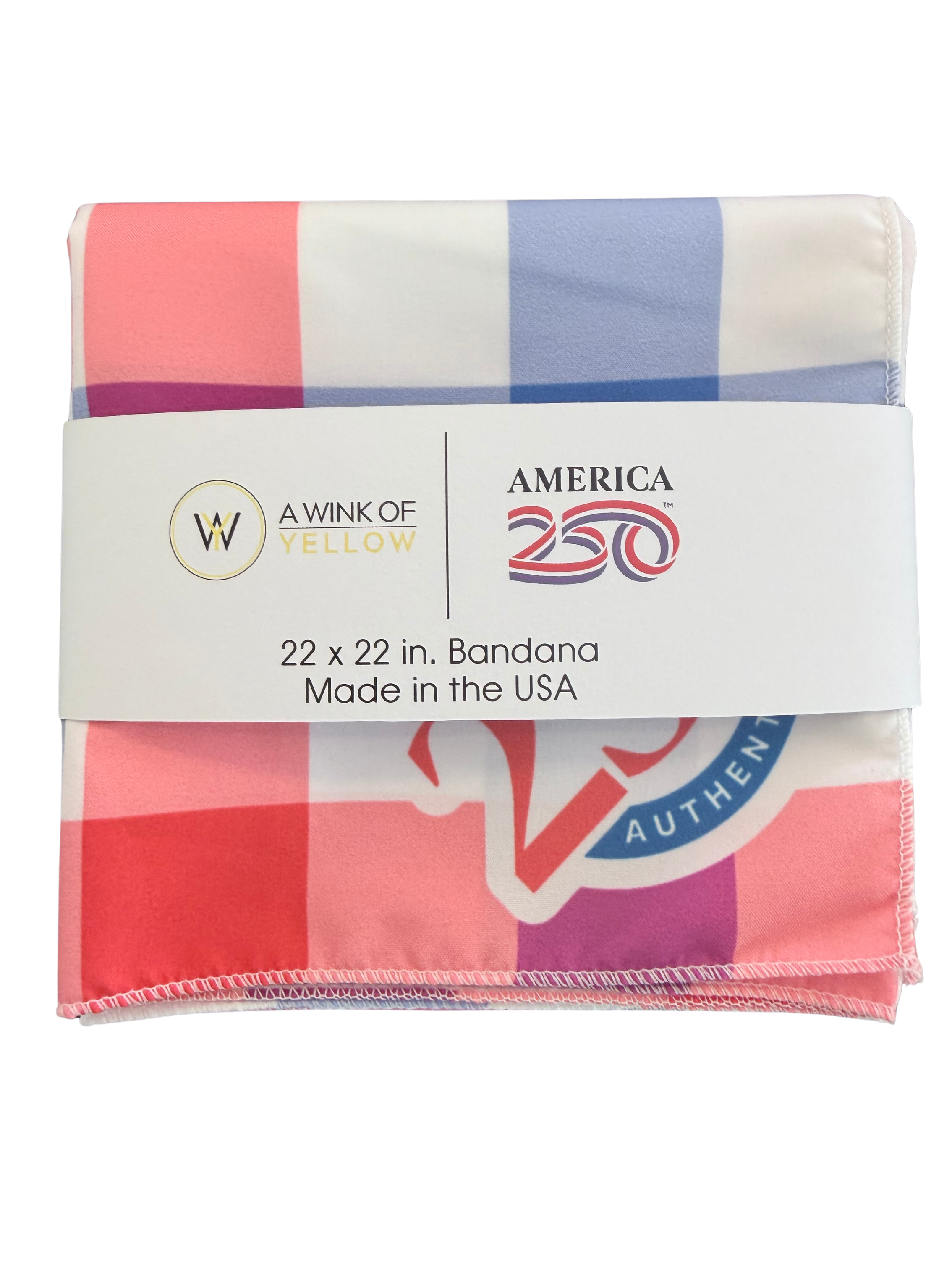 USA Gingham Bandana